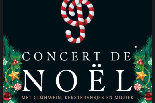 Kerstconcert 23 december in de Waalse Kerk